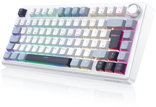 OMOTON Mechanische Tastatur Gaming 75% kabellos QWERTZ ISO-DE Layout MK211