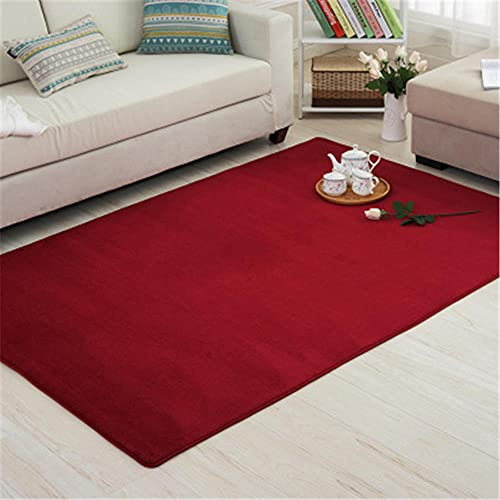 Aoojlo Alfombra de Terciopelo Coral Grueso de Color sólido Calidad Carmín Suave Lavable Antideslizante Grande Rugs Rug Minimalista Moderna Sala De Estar Dormitorio Tatami Gateando Estera -120×140cm