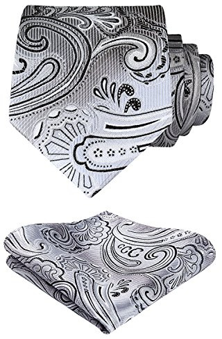 HISDERN Herren Krawatte Blumen Paisley Krawatte & Einstecktuch Set Grau