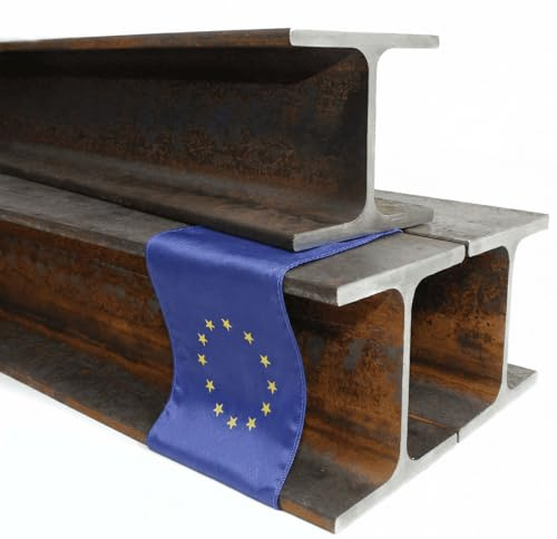 Stahl-Shop24 T Träger HEA 100 2000 mm – Doppel T Stahlprofil für Unterzug Hallenbau Carport Rahmenkonstruktion – Baustahl warmgewalzt unbehandelt