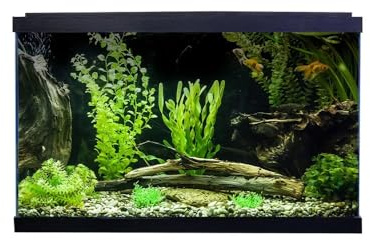 Swell Premium 50cm Tropical Fish Tank, 38L, 50 x 26 x 32cm, LED Lighting, 4-Stage Filtration