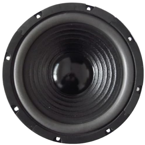 KIT SET PER WEB J-108 1 woofer altoparlante diffusore medio basso 25 cm 250 mm 10, 100 watt rms 200 watt max, impedenza 8 ohm, sospensione morbida, per casa, 1 pezzo