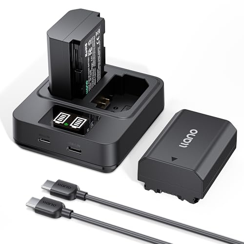 llano NP-FZ100 Battery 2-Pack with 20W USB-C Fast Dual Charger for Sony A7III A7IV A7C A7CII A7RV A7RIII A7RIV A6700 A6600 FX3 FX30 ZV-E1 ZV-E10 II A9 A1 Cameras – 2400mAh Replacement Battery Set