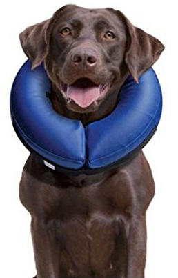Halskrause Hund Katzen M aufblasbar weich Schutzkragen Soft Hundehalskrause Halskragen Hundekragen Leckschutz 23-31 cm