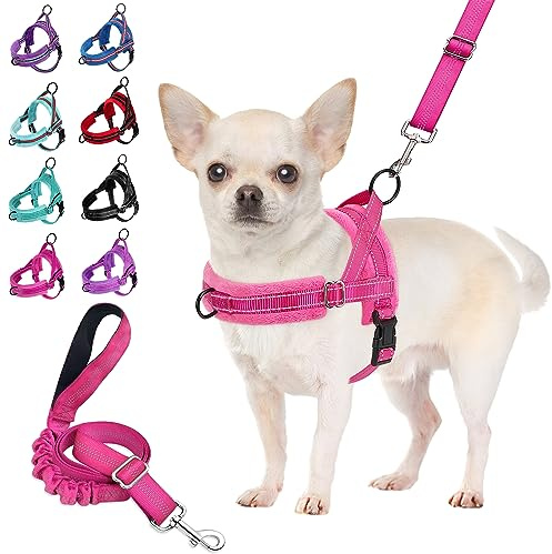 SlowTon Set med hundsele och hundkoppel, snabbpassform, sele, mjuk vadderad, husdjurssele med hundkoppel, justerbar, reflekterande bilsele och bungee