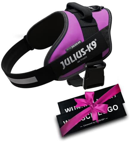 JULIUS K-9 IDC Powergeschirre Dunkelpink mit individuelle Klettaufschriften Bundle optionale Größe, 16IDC+CUSTOMP-DPN, Kleine, mittelgroße, und große Hunde