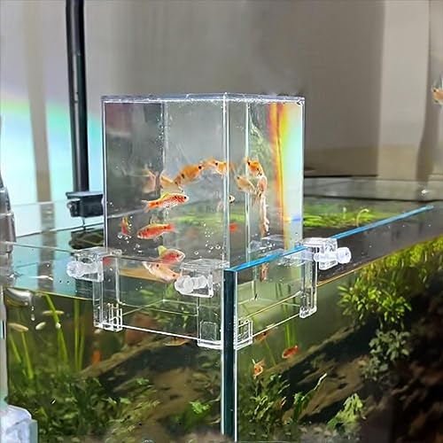 RJSQAQE Fish Elevator Inverted Aquarium,Transparent Fish Tank Above Water,Acrylic Auto-Refill Fish Tank Water Level Maintenance,Vacuum Suspended Fish Tank for Aquatic Pets