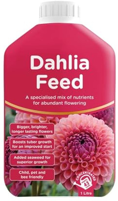 Dahlia Feed Liquid Plant Food, Nutrient-Rich Fertiliser for Dahlias, Promotes Strong Growth, Vibrant Blooms & Healthy Tubers with Added Seaweed, 1 Ltr