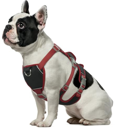 Hjumarayan Sicherheitsgeschirr Hund - Panikgeschirr für Hunde, Anti Zieh Geschirr für Hunde Ausbruchsicher, Anti Zug Hundegeschirr mit Griff für Mops, Jack Russell (Schwarz S)