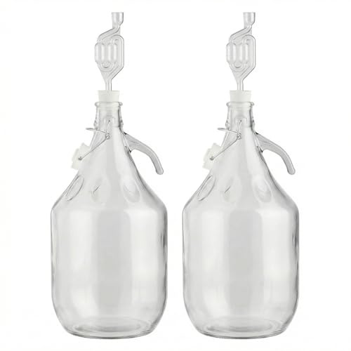 lilawelt24 2X 5L Glasballon Gärbehälter Set mit Bügelverschluss, Henkel, Gärrohr & Stopfen, für Wein, Most & Fermentation