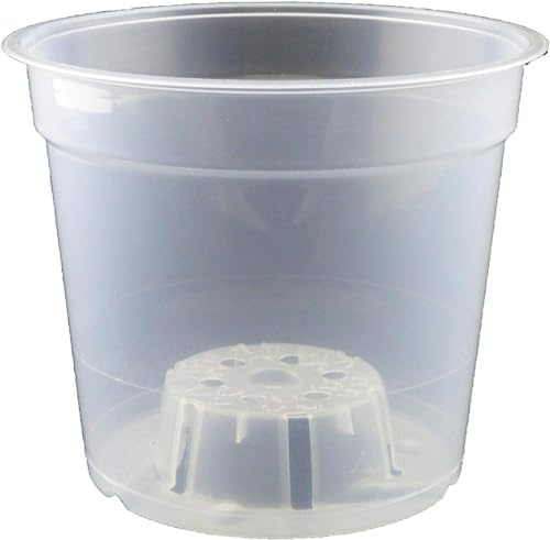 The Flowerpot Men 6 x 15cm Clear/Transparent Orchid Pots