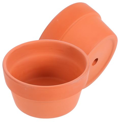 Angoily Lot de 2 Pots de Fleurs en Terre Cuite Rouge Diamètre 125 CM avec Trou de Drainage pour Cactus Succulentes et Bonsaïs Récipient Naturel Favorisant la Croissance des Plantes