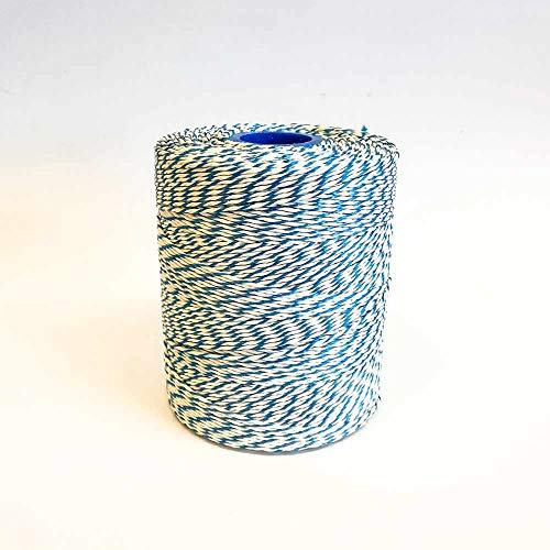 Spago Rayon 1 rotolo da 500 gr circa 300 mt certificato per la cottura robusto e in diversi colori (Bianco/Blu)