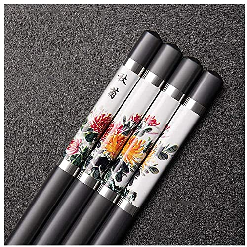 ZHANGZONG Bacchette Sushi Bacchette Cinesi Set Regalo di 10 Paia di Bacchette Cinesi/Bacchette in Fibra di Vetro, da Applicare a casa e al Ristorante, all'aperto. Nero, 25 Cm(Color:F;Siz