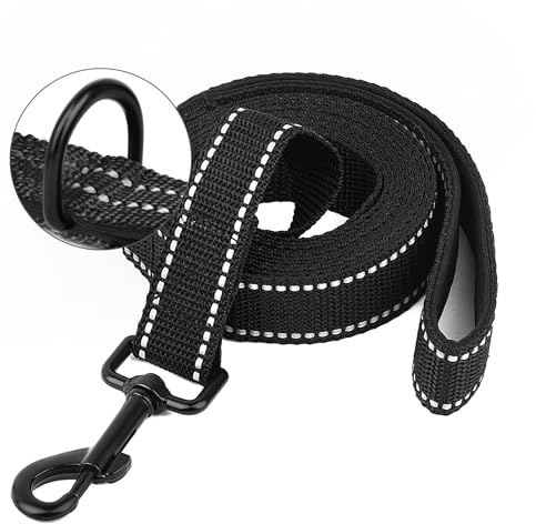 Longe pour Chien - Longe 3M 10M 20M 30M Laisse pour Chien, Laisse de Dressage avec Poignée pour Chiens, Refléchissant (10M)