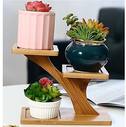NOALED Desktop Mehrschichtiger Blumenständer Fleisch Holz Schwimmendes Fenster Balkon Wohnzimmer Büro Mini Blumentopf Regal