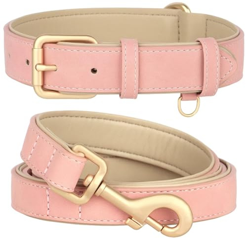 Beirui Hundehalsband und Leine, weich gepolstertes Leder-Set, robuste Hundeleine und Halsband, Set mit Metallschnalle, atmungsaktiv, mit 122 cm Langer Leder-Hundeleine für kleine, mittelgroße und