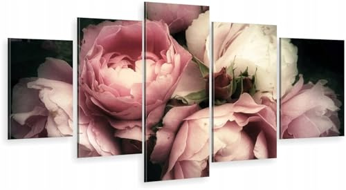 HUBDECO 5-Teiliges Leinwand Bild Wohnzimmer - Bilder, Poster, Kunstdrucke - Leinwandbild - Bild auf Leinwand - Tolle Zimmerdekoration - Schlafzimmer Bilder - 171x90 cm - Pfingstrose