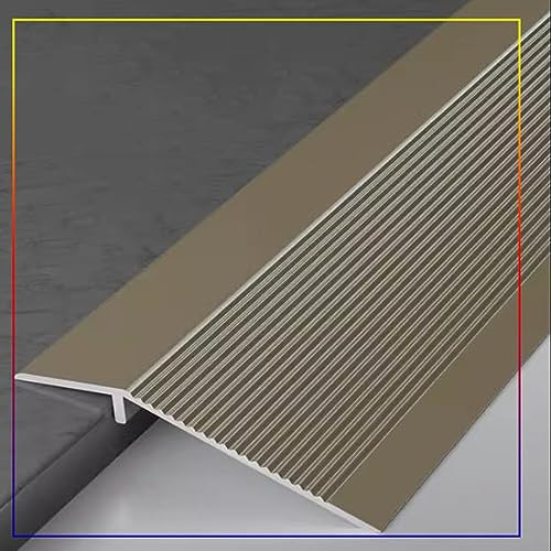 TOCTUS Övergångsprofil, Övergångslist I Aluminium För Springor, Golvlist, Ramp Från Trä Till Kakel, Golvlist, Dörrskena, För 1-4 Cm Höjdskillnad (Color : Matte Champagne)