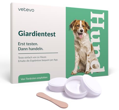vetevo Giardientest Hund - Durchfall, Gewichtsverlust & Appetitlosigkeit | ELISA-Verfahren, präziser als ein Schnelltest, Ergebnis in 12 Stunden, Laborversand inklusive