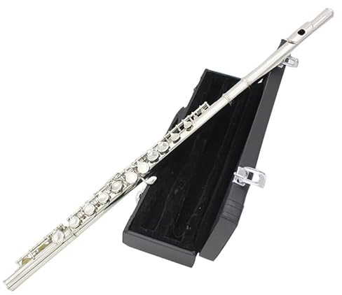 16-Loch-C-Flöte, Geschlossen, Offen, Kupfernickel, Versilbert, Konzertflöte Mit E-Klappe Und Box-Zubehör Querflöte für Anfänger