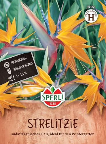 Sperli Strelitziensamen SPERLI's Papagei 87165, Saatgut | Für den Wintergarten, Inhalt für 5 Pflanzen, mehrjährig