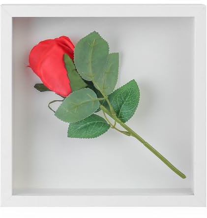 SHACHENH Cornice portafoto 3D da riempire, profondità 3 cm, con pannello acrilico trasparente, per medaglie, regali, fiori secchi, vetrina, 20 x 20 cm