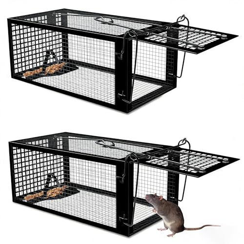SARSTRY Trampa para Ratones Vivo, 2 PCS XL Trampa Ratones y Ratas para Interiores y Exteriores Sin Matar Cepos para Ratones Reutilizable, Sin Mecanismo de Liberación Táctil - 27 x 14 x 12 cm