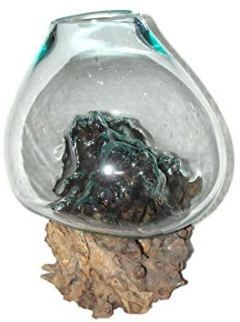 SAWA Glasvase Blumenvase 40 cm individuell auf Treibholz/Wurzelholz spezielle Vase mit Holz Wurzel