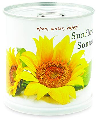 MacFlowers Tournesol - Fleurs dans une boîte.