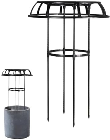 Trellis Blumen für Kletterpflanzen - Himbeer-Rankhilfe, Regenschirm-Rosenspalier | Halterung für unabhängige Gartenanlagen, stabile Schraubhalterung