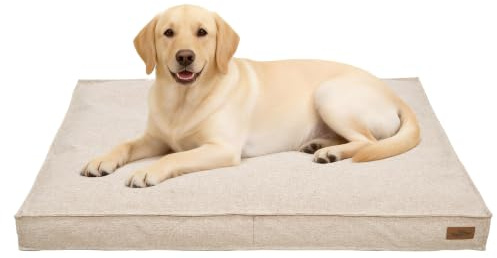 BingoPaw Extra stor sommarhundsäng 118x89x12 cm avtagbar beige