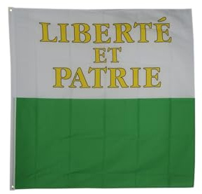 Flaggenfritze Hissflagge Schweiz Kanton Waadt 150 x 150 cm - quadratische Kantonsfahne für Mast, Garten & Event - 3 Metallösen