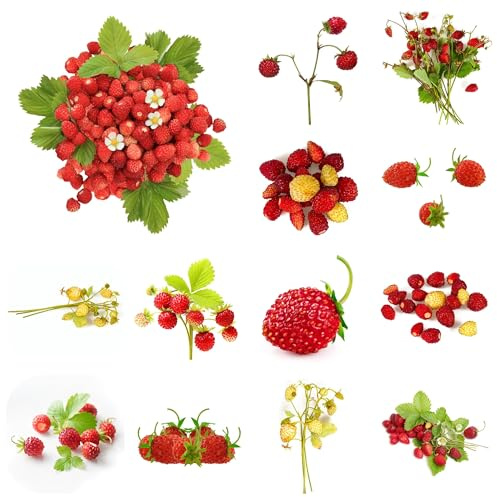 fresa silvestre comprar semillas columnares de fresa silvestre orgánicas de jardín resistentes de balcón columnares 125pcs