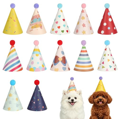 AYBUY 12 Stück Partyhüte, Geburtstag Partyhüte für Kuscheltiere, Kleine Party Hüte Geburtstagshut mit Pompons für Kinder und Erwachsene（Hutdurchmesser 10,5 cm）