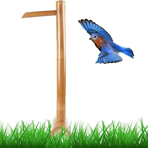 Bambusbrunnen-Set mit japanischer Zen-Dekoration, Kaskade für Gartenwasserspiele, 40 cm