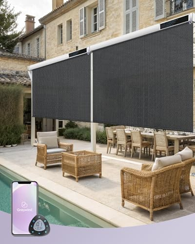 Graywind Elektrische Außenrollo Senkrechtmarkise, Wasserdicht UV-Schutz Smart Sonnenschutzrollo, Solarbetrieben Balkonrollo mit Fernbedienung Kompatibel Alexa Google (100 * 240cm, 1% Black)