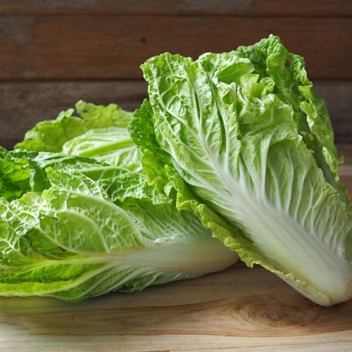 Semi di cavolo cinese - acquistare di invernali Semi di Pak Choi - semi di da giardino tappezzante rare 80pcs