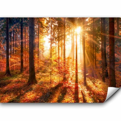 murando - Vlies Fototapete Wald 3D 350x256cm Foto Tapete Wohnzimmer Vliestapete XXL Motivtapeten Bildtapete 3d Effekt Wand Dekoration - Landschaft Natur Grün Bäume Sonnenuntergang c-B-0162-a-c