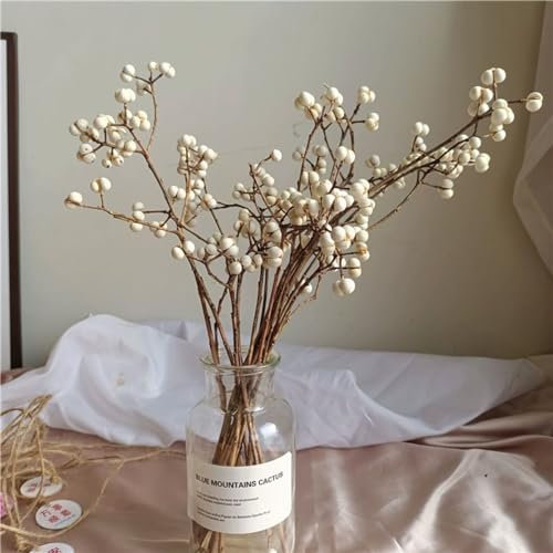 Torkade talgbär 200 gram, långa järnek trälvbär, torkade växter, blomdekor, naturliga bärstjälkar bukett för hem, kontor, bröllop, fest, gör-det-själv, hantverk, bondgårdsstil