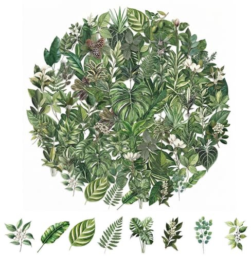 100 Blumen Scrapbooking Aufkleber,PET Transparente Pflanzen Aufkleber,Vintage Bunte Blumenaufkleber,Flower Stickers für Scrapbook Fotoalbum Tagebücher Laptops Karten