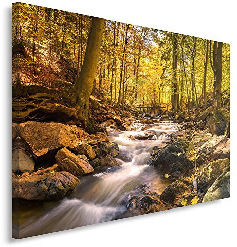 Feeby. Wandbild - 1 Teilig - 60x80 cm, Leinwand Bild Leinwandbilder Bilder Wandbilder Kunstdruck, WALD, NATUR, BRAUN