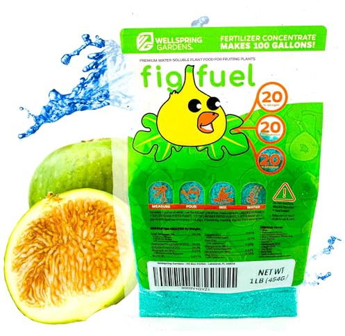 Wellspring Gardens Fig Fuel Fertilizer - Water-Soluble 20-20-20 Blend for Fig Trees, Fruit & Plant - Plant Food for Healthy Growth & Leaves - 1 Pound