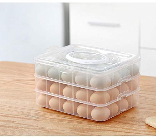 Caja Envase para Huevos, Cartón de Huevos Plástico, para la Nevera Caja con Tapa Huevera de Plástico,para nevera, cocina, al aire libre, organizador almacenamiento de huevos (Transparente,60 huevos)