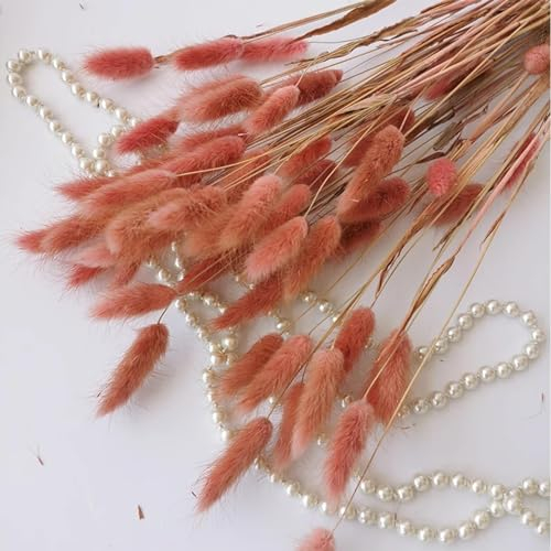 Fleurs séchées de queues de lapin,100 pièces 45cm herbe de queue de lapin séchée Boho décor à la maison, herbe de Pampas naturelle pour les arrangements floraux décoration de mariage maison rose