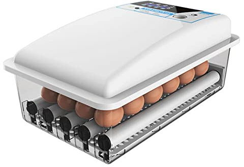 MEHOOSPVN 24Eier Inkubator Vollautomatische Brutmaschine Automatisch Brutgerät, Brutapparat mit LED Beleuchtung Anzeige der Luftfeuchtigkeit Hatcher Maschine für Hühnergans Ente Taube Wachtel Vogel