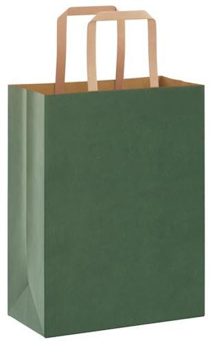 vidaXL Papiertragetaschen 250 Stk., Papiertüten mit Henkeln, Kraftpapiertüten, Geschenktüten für Einkaufen Hochzeiten Verpackungen Partys Geburtstag Weihnachten, Grün 21x11x28cm