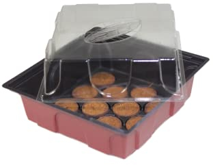 Windhager Zimmer-Gewächshaus inklusiv 12 Quelltabs, Treibhaus mini, terracotta / anthrazit, 19,5 x 19 x 11cm