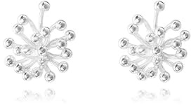 Ohrstecker Silber 925 Stecker Damen Abstrakte Blume Ohrringe Earrings for Women Nickelfreie Schmuck