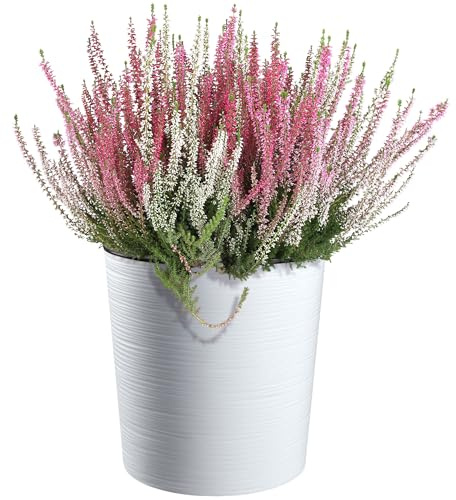 KADAX Pot de Fleurs Blanc 30 cm – en Plastique et Copeaux de Bois Recyclés pour Une Décoration Rustique et Authentique, Idéal pour l'Intérieur ou l'Extérieur